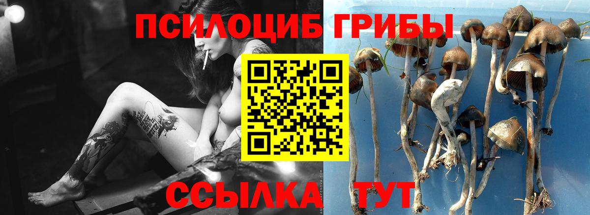 Галлюциногенные грибы мухоморы  Вход с VPN  Михайловск 